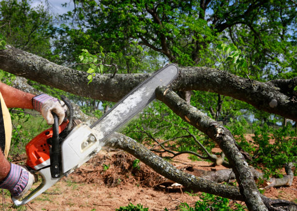 Best Lawn Grading and Leveling  in Hartford, IL